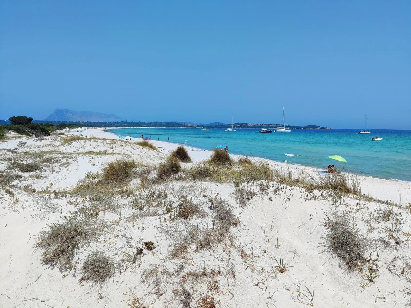 Plage et mer turquoise face à l'île de Tavolara, près de Porto Istana
