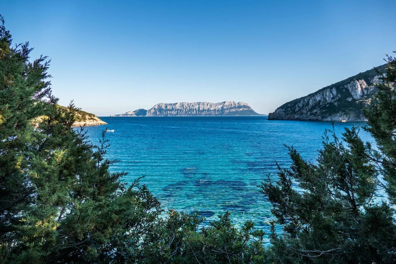 Port et paysage d'Olbia en Sardaigne
