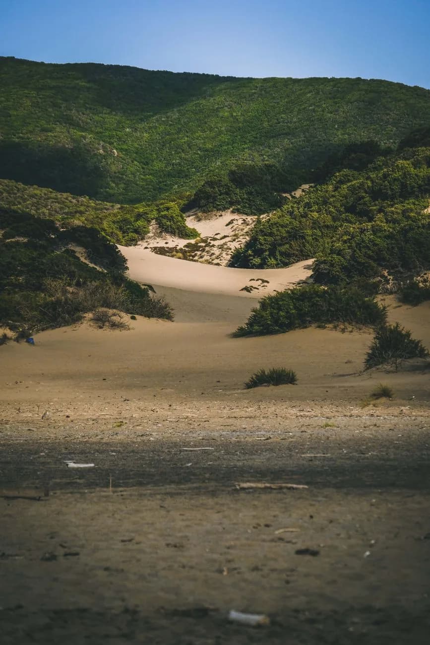 Dunes d'Arbus sur la Costa Verde