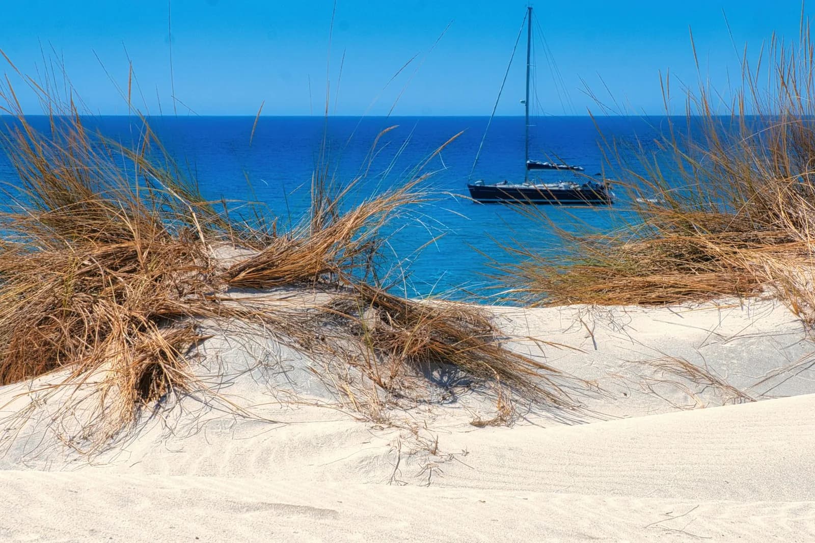 Dunes et pinède en Sardaigne