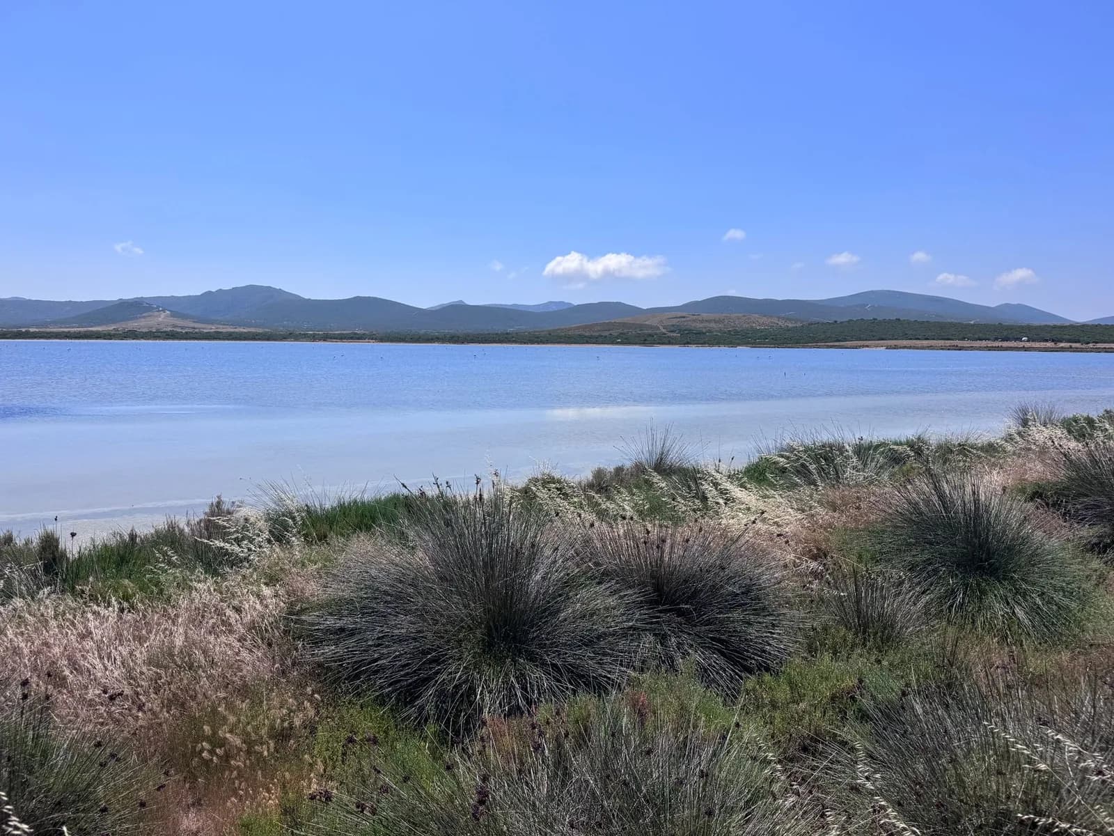 Littoral du golfe de l'Asinara
